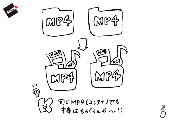 同じMP4（コンテナ）でも入ってるコーデックが違う